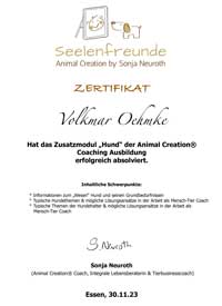 Klein-Elo Zucht Zertfikat Tierkommunikation Hunde